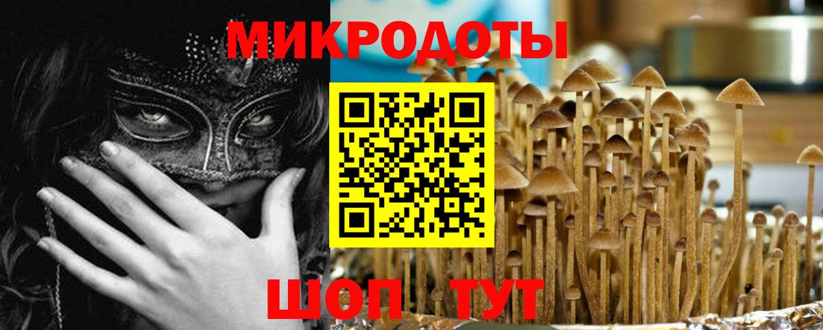 Псилоцибиновые грибы мухоморы Астрахань
