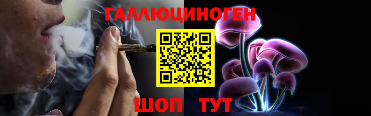 Астрахань  Галлюциногенные грибы ЛСД  Вход с VPN 